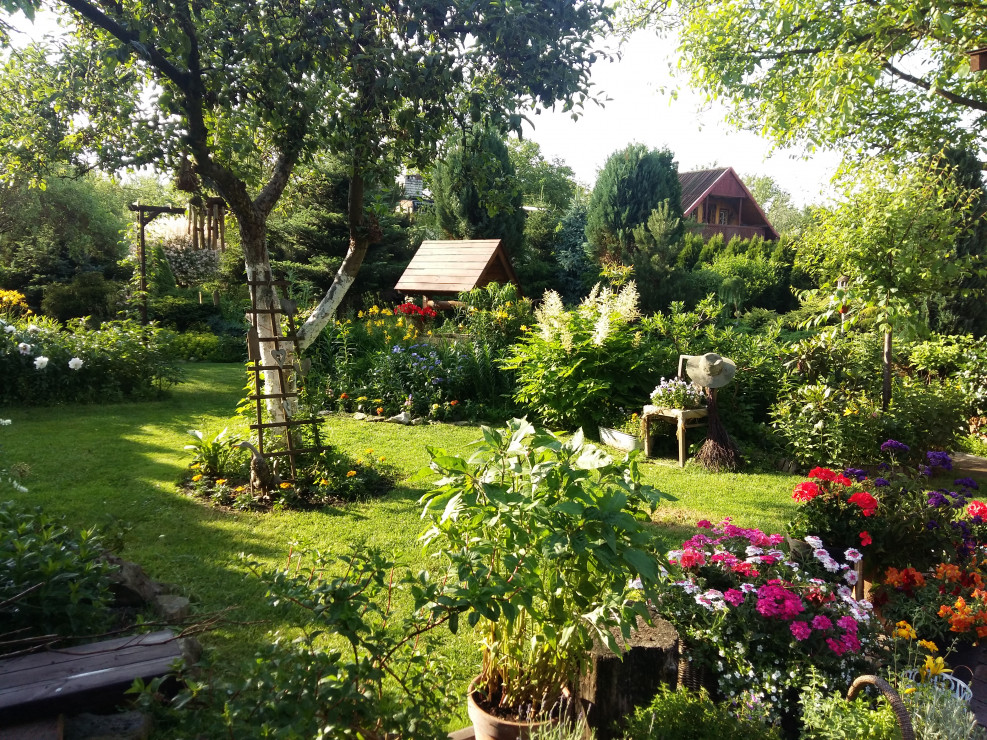 Bardzo cenie sobie rośliny jednoroczne,zwłaszcza werbeny,pelargonie i lantany.Dzięki jednorocznym,nasz ogród jest urozmaicony i co roku może odmieniać się jego oblicze.