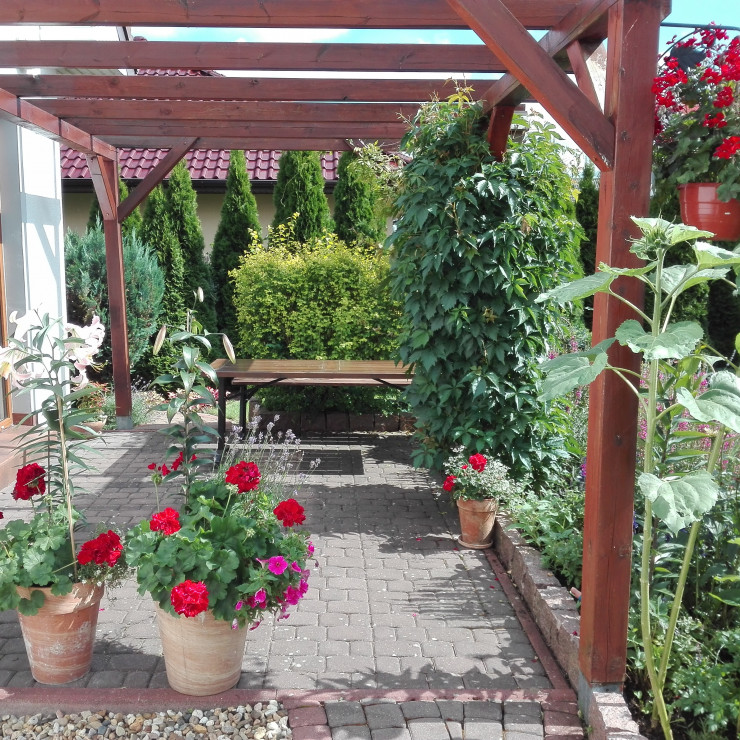 Lipiec należy do lilii.