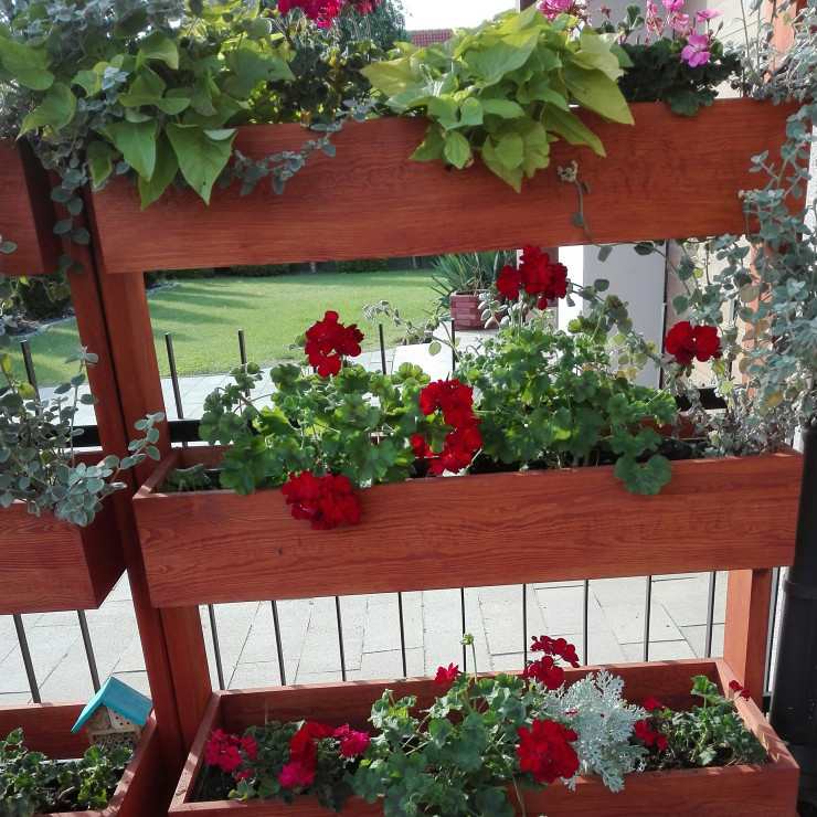 Zawsze można stworzyć ukwiecony płot.