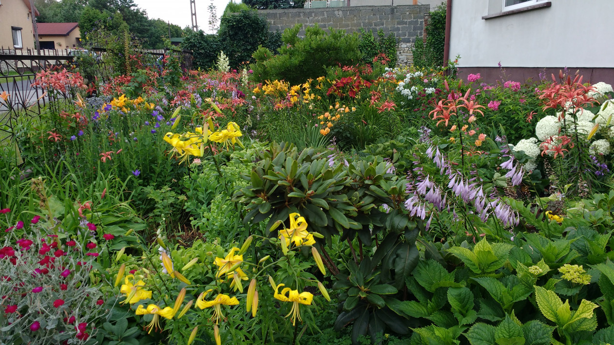 Ogród kwiatowy który zmienia się od wiosny do jesieni