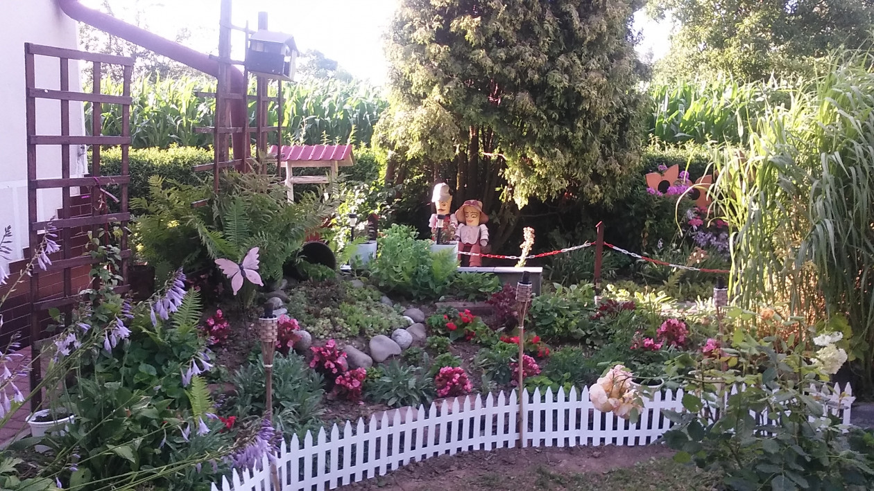 SKALNIAK PÓŹNYM LATEM