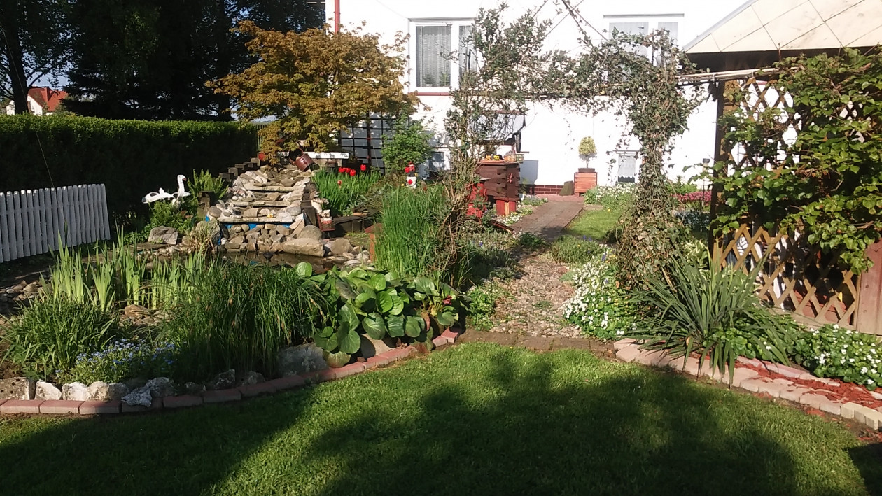 SŁONECZNY NIEDZIELNY PORANEK-JAK DOBRZE WSTAĆ SKORO ŚWIT.....