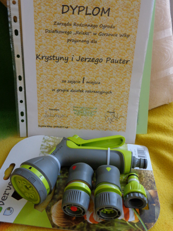 i nagroda