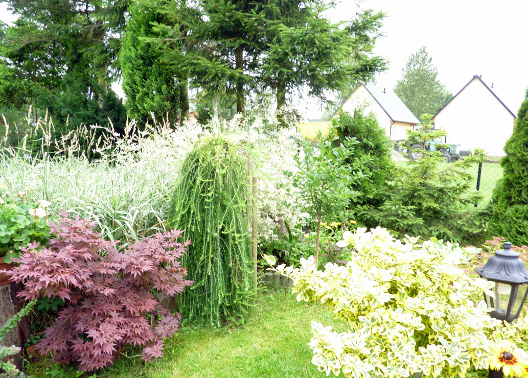 Panorama na barwy ogrodu