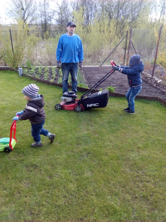 Chłopcy chętnie pomagają tacie w koszeniu trawy - czasem nawet są burzliwe dyskusję, kto ma prowadzić kosiarkę. 