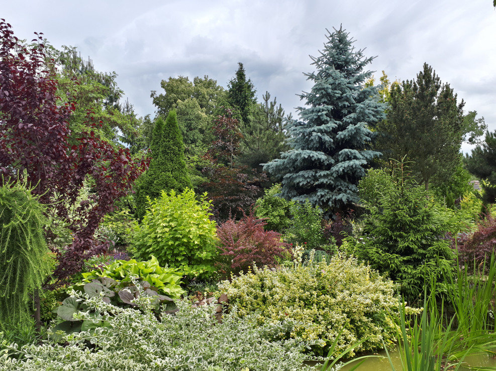 Kolory tęczy, barwna kompozycja z ulubionego, najstarszego miejsca w ogrodzie.