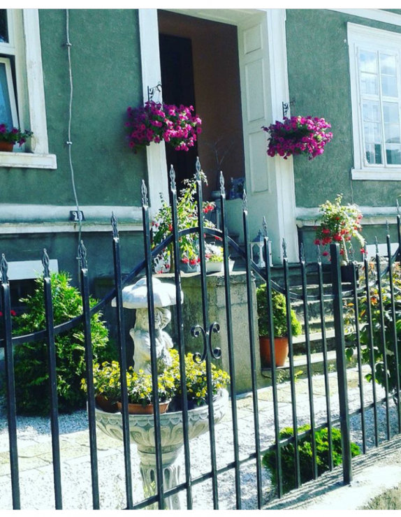 Przedogródek