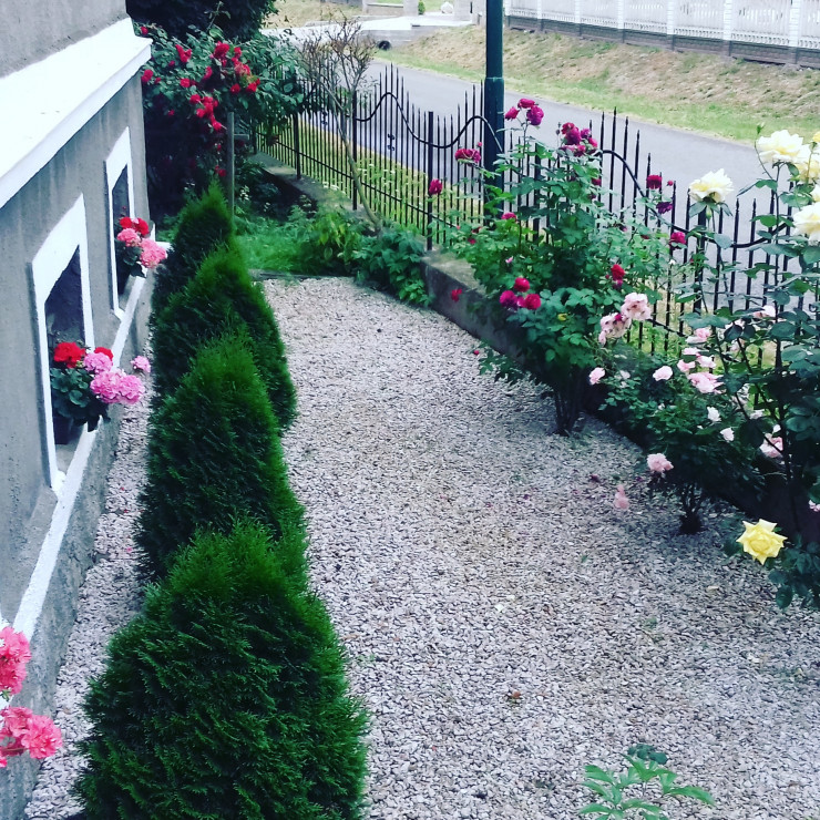 Przedogródek