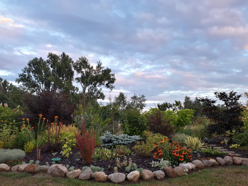 Wieczorem po podlewaniu, malownicze chmury w najmłodszej części ogrodu.