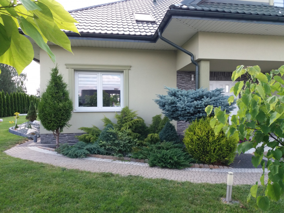 Z roślinami kojarzą się nam różne etapy w życiu. Ta iglasta rabata była jedną z pierwszych po kupnie domu. To były 3 miesiące, kiedy mąż był unieruchomiony złamaną nogą i wtedy jeszcze nie interesował się ogrodem. Dziwnie na mnie patrzył jak chodziłam z w
