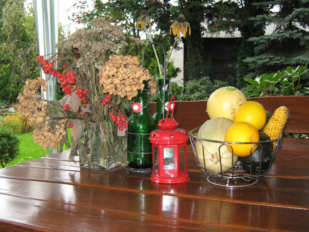 Jesień. Jarzębina, kwiat hortensji, dynie i kolba kukurydzy. 