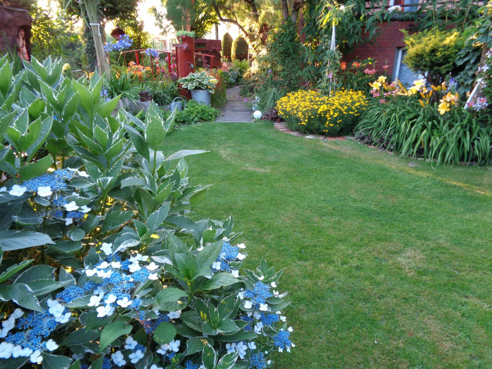 Południowa część ogrodu w niej liliowce, hortensje i najważniejsze widoczek na moje ukochane miejsce - oczko.