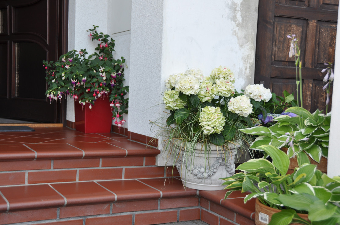 Przy kwiatach miło posiedzieć nawet na schodach przed domem :)