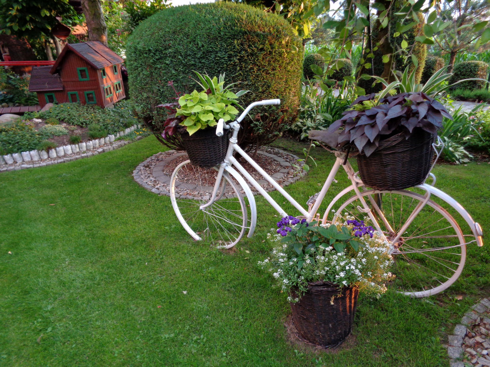 Stary rower  ma swoje latka a w sam na dekorację ogrodu spełnia swoją rolę.