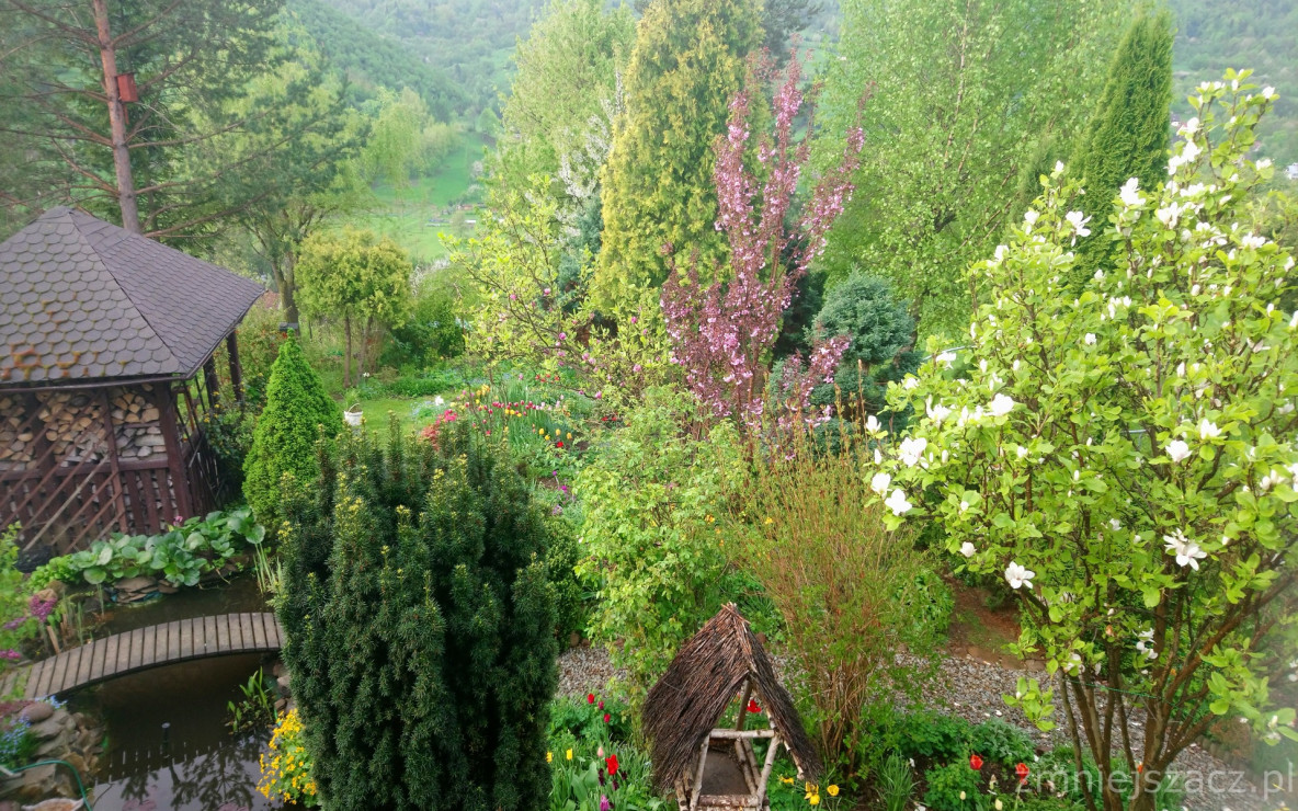 wiosna - widok na ogród