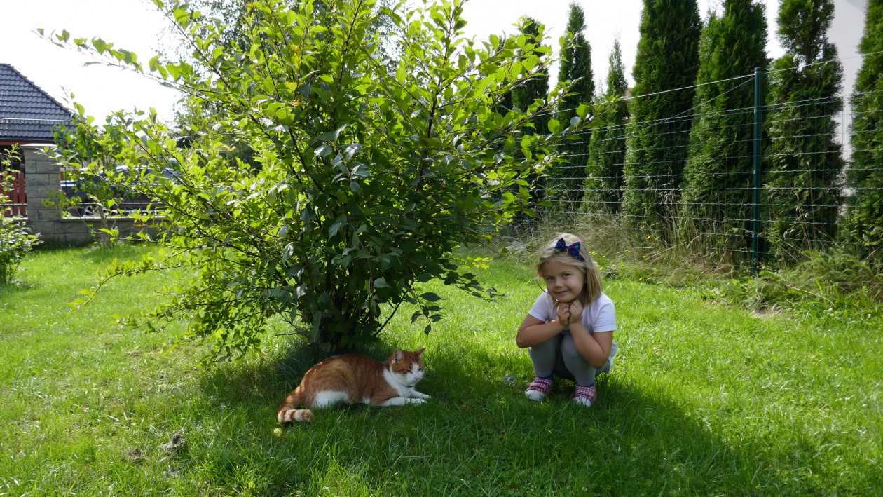 Rudzik lubi schronić się przed słońcem pod migdałkiem, a Klaudia lubi Rudzika :)