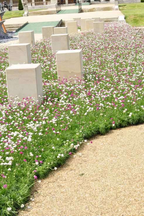 Chelsea Flower Show 2019 (10)