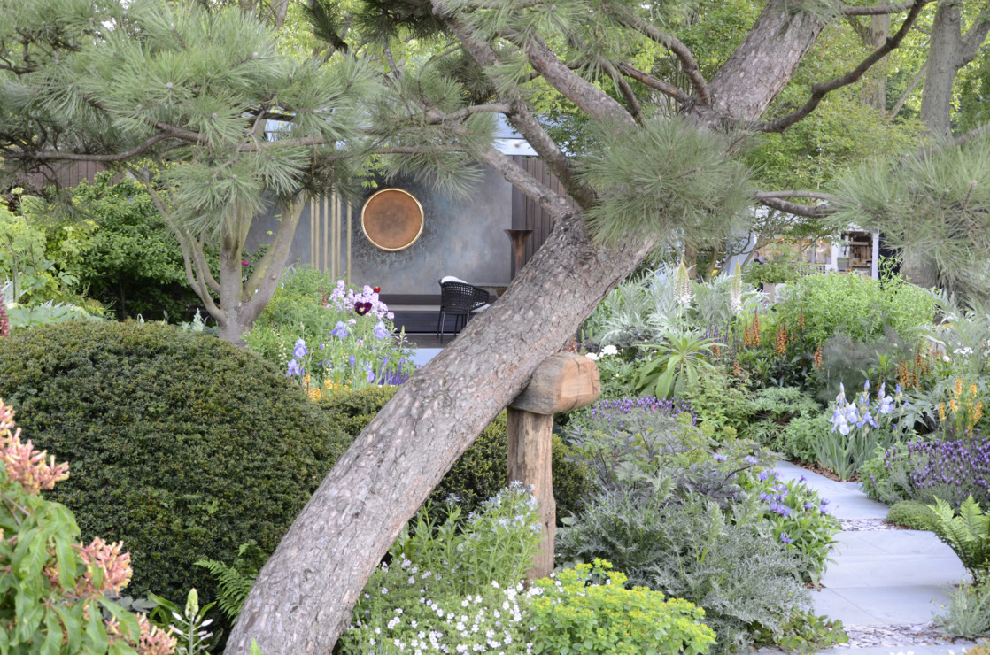 Chelsea Flower Show 2019 (16)