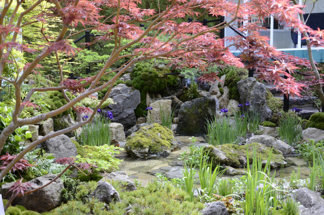 Chelsea Flower Show 2019 (27)