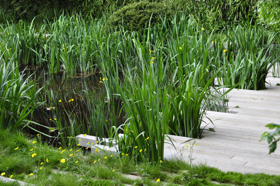 Chelsea Flower Show 2019 (37)