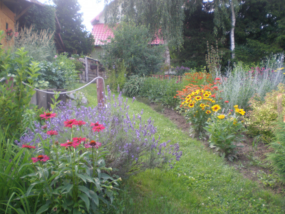 Ogród widziany z dołu