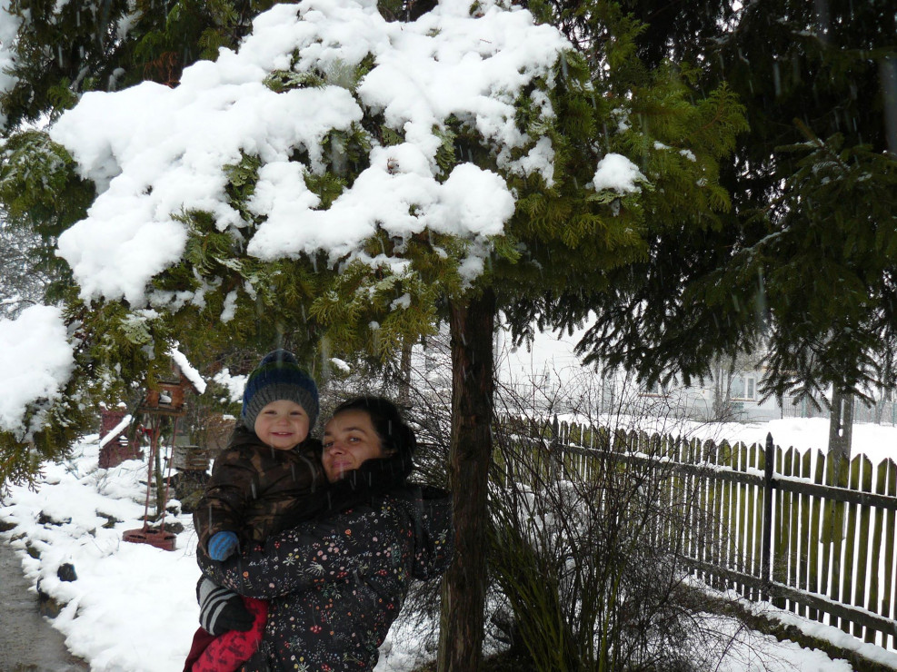 Krzewy w śniegu