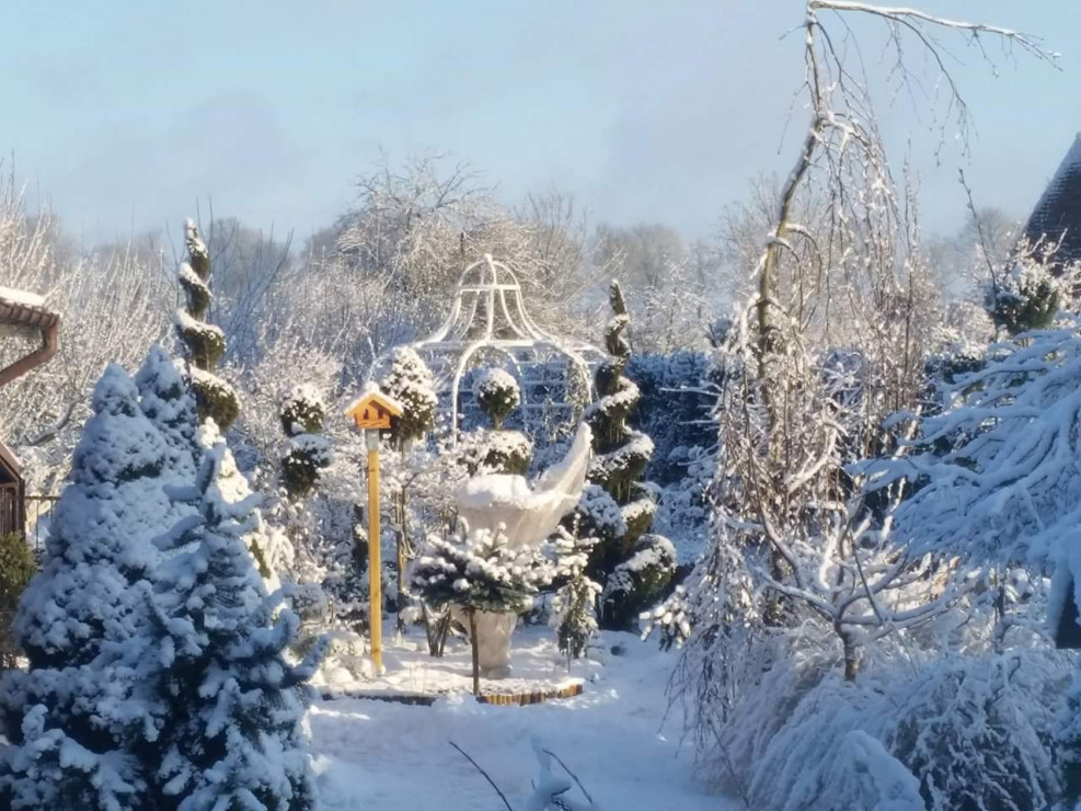 Ogród w zimowych miesiącach