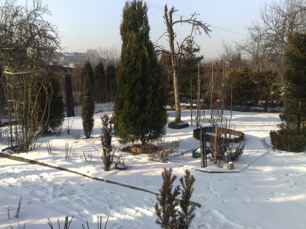 ROD Chorzów 1