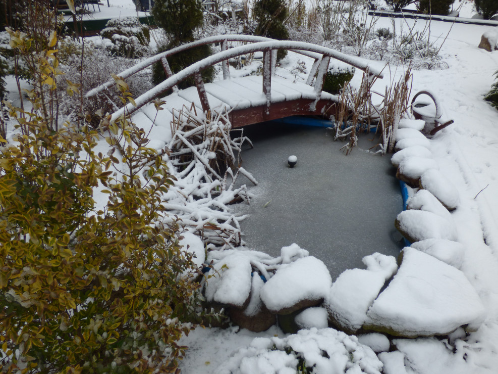 Oczko wodne zimą