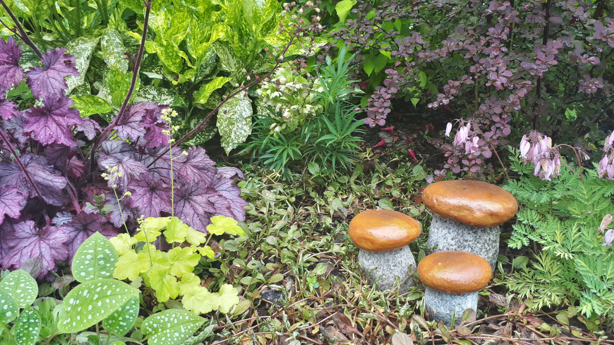 Kamienne grzybki, nowy akcent w Naszym ogrodzie
