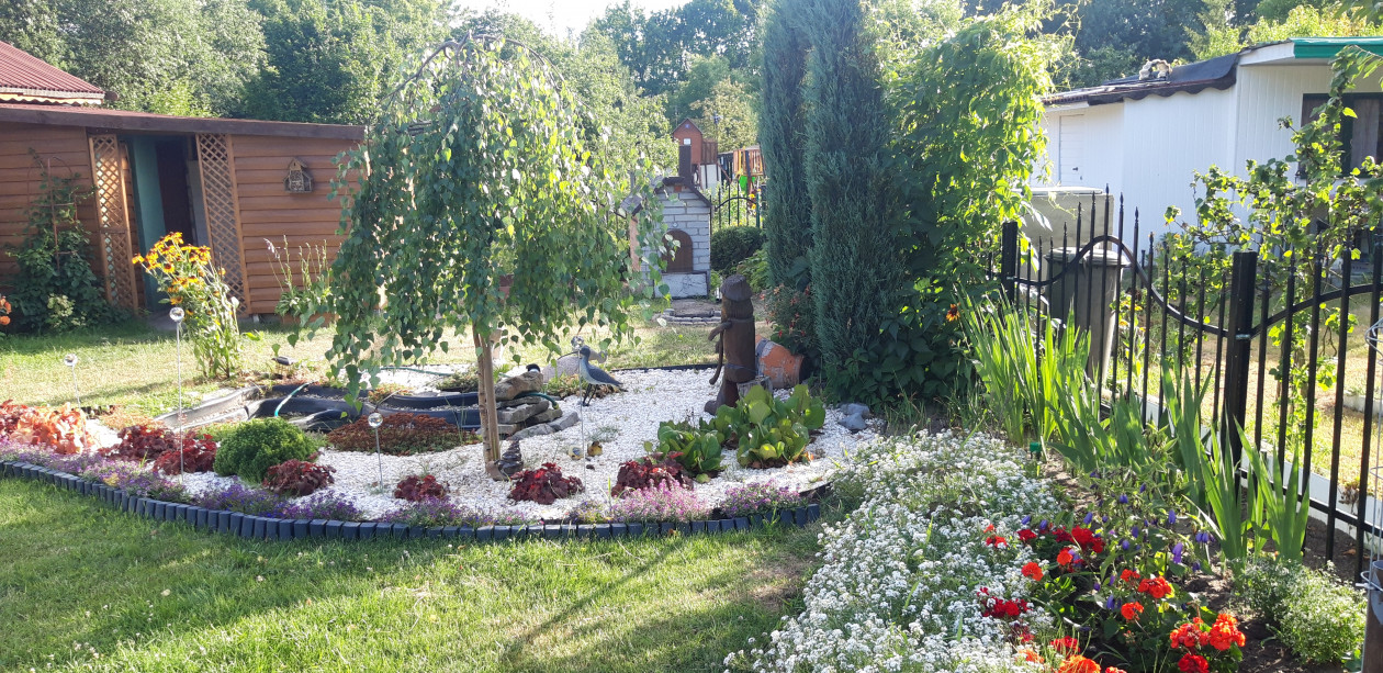 oczko wodne