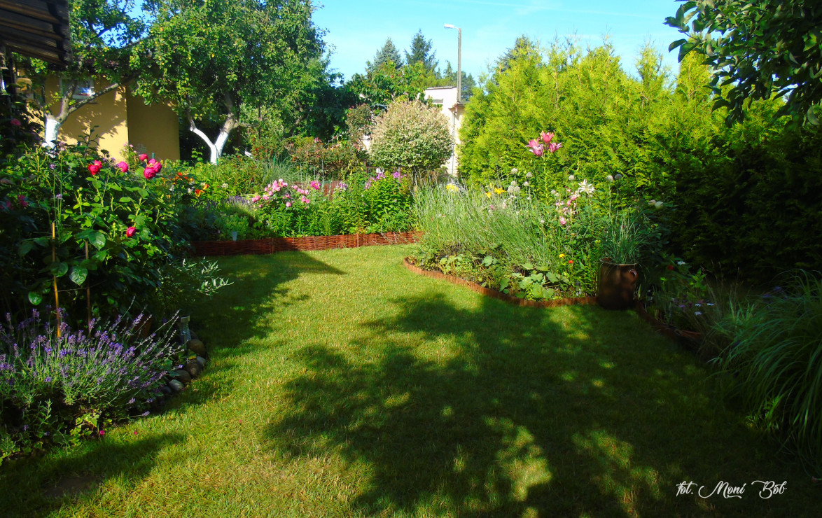 Ogród o świcie IV