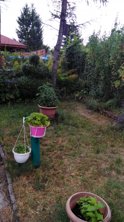 Ogródek