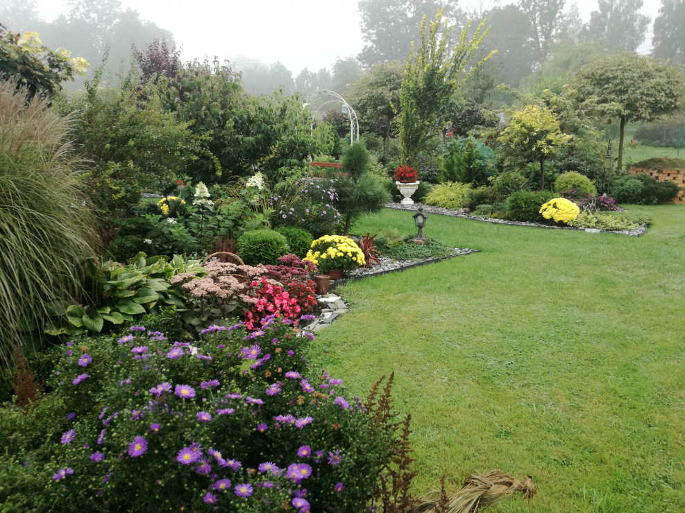 Ogród we mgle