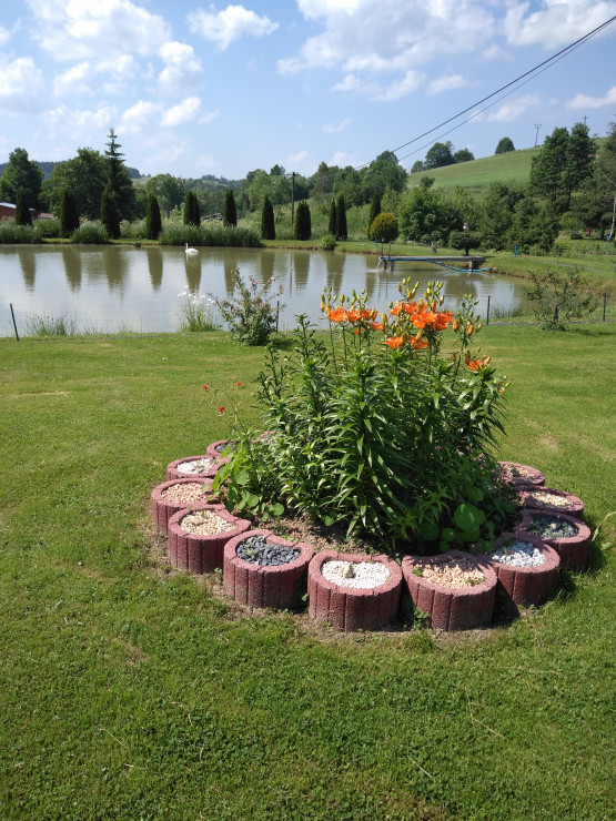Ogród nad stawem