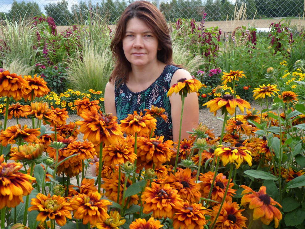 Rudbekie