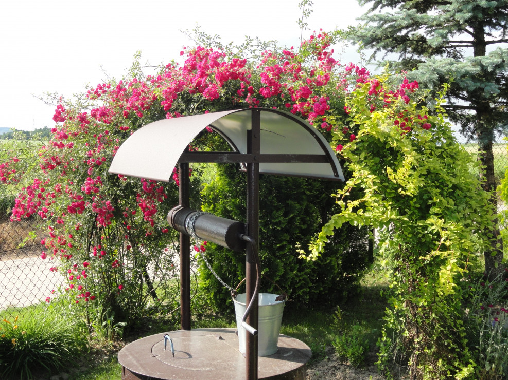 Pergola przy studni