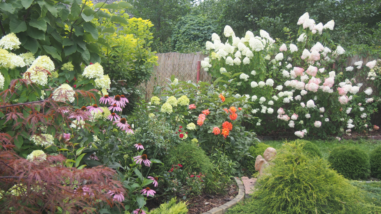 Ogródek Pełen Kwiatów