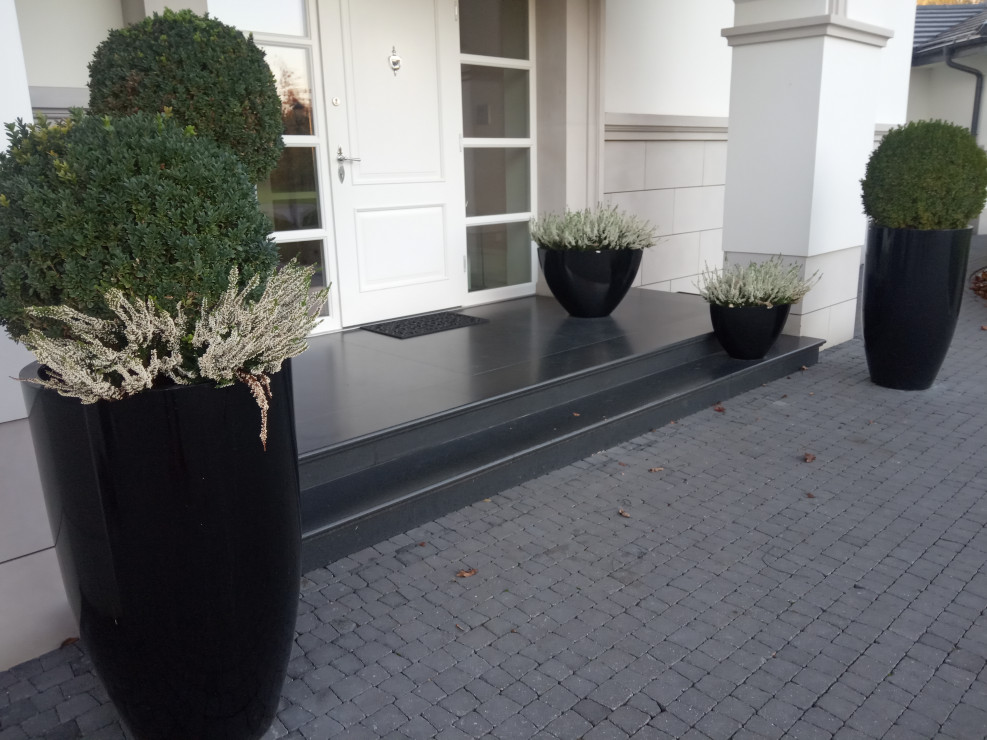 Wrzosy przed wejściem