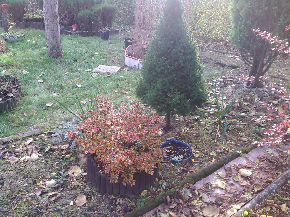 Jesień 2019