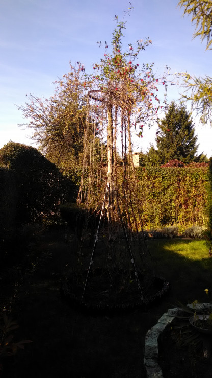 Jesień 2019