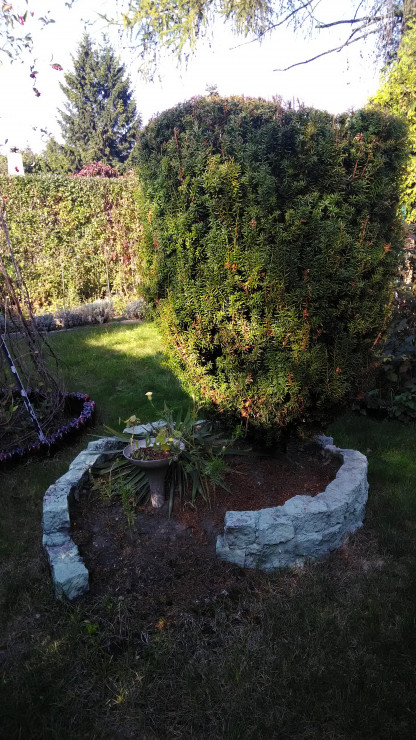 Jesień 2019
