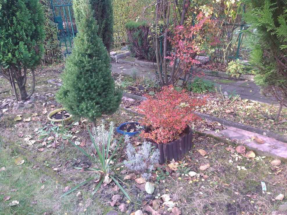 Jesień 2019