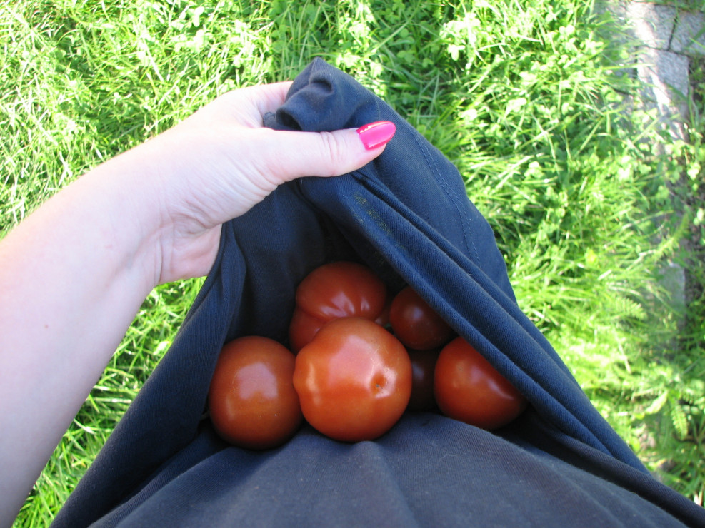 sukienka najlepsza na spontaniczny zbiór pomidorów