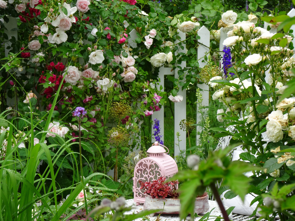 Aromaterapia w ogrodzie