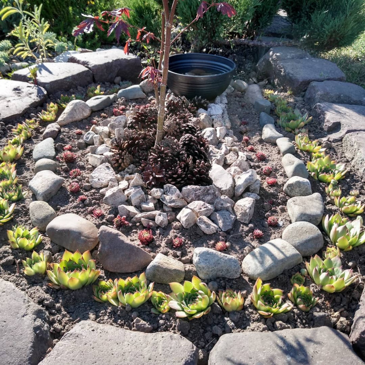 Rojnikowe aranżacje