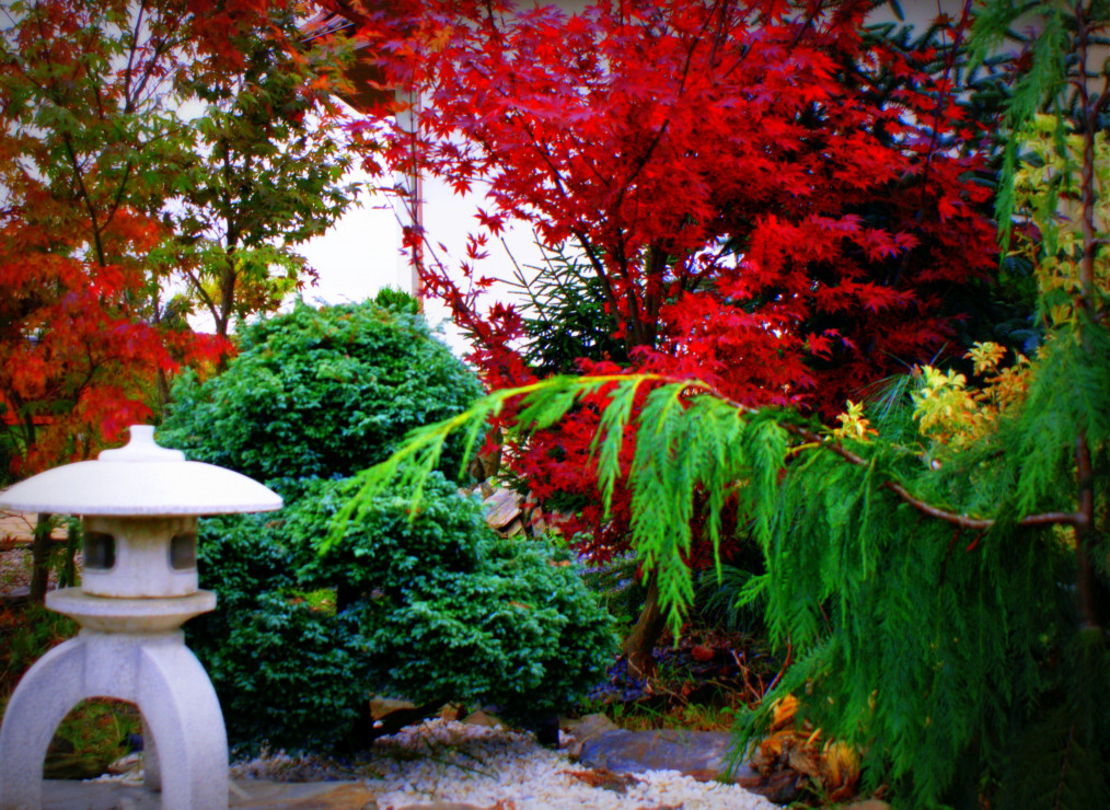 Latarnia nad oczkiem wodnym