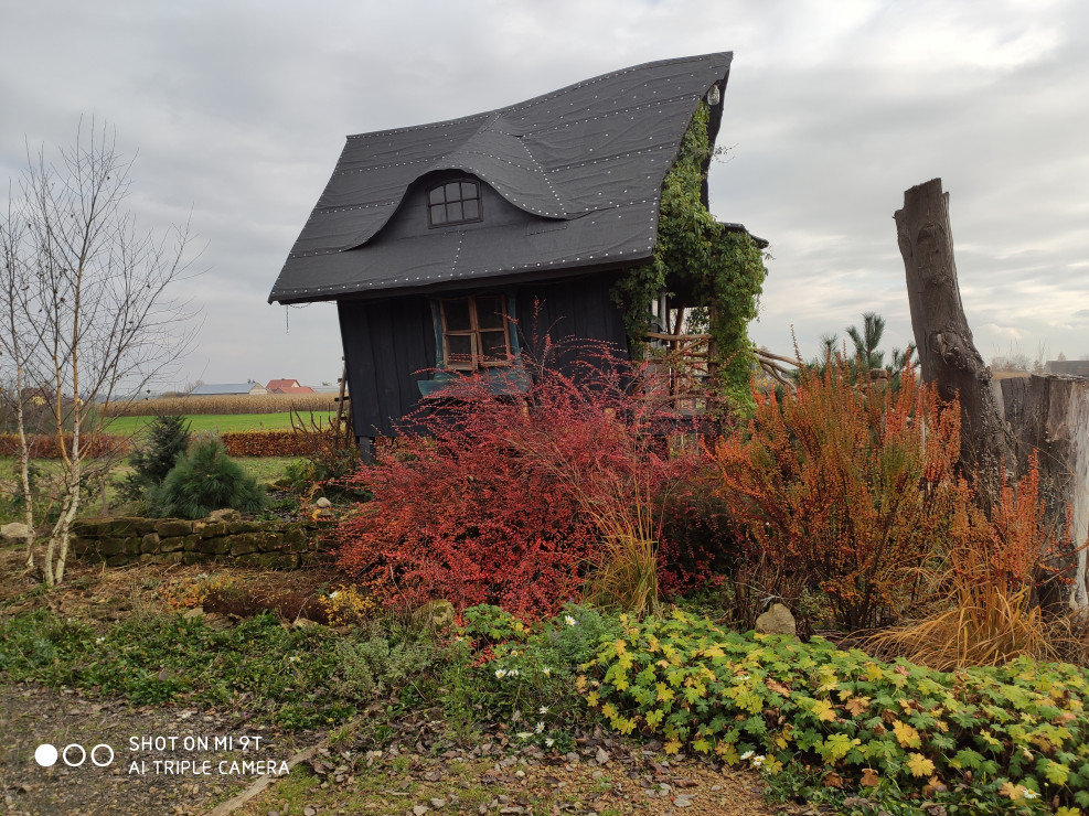 jesień - domek czarownicy