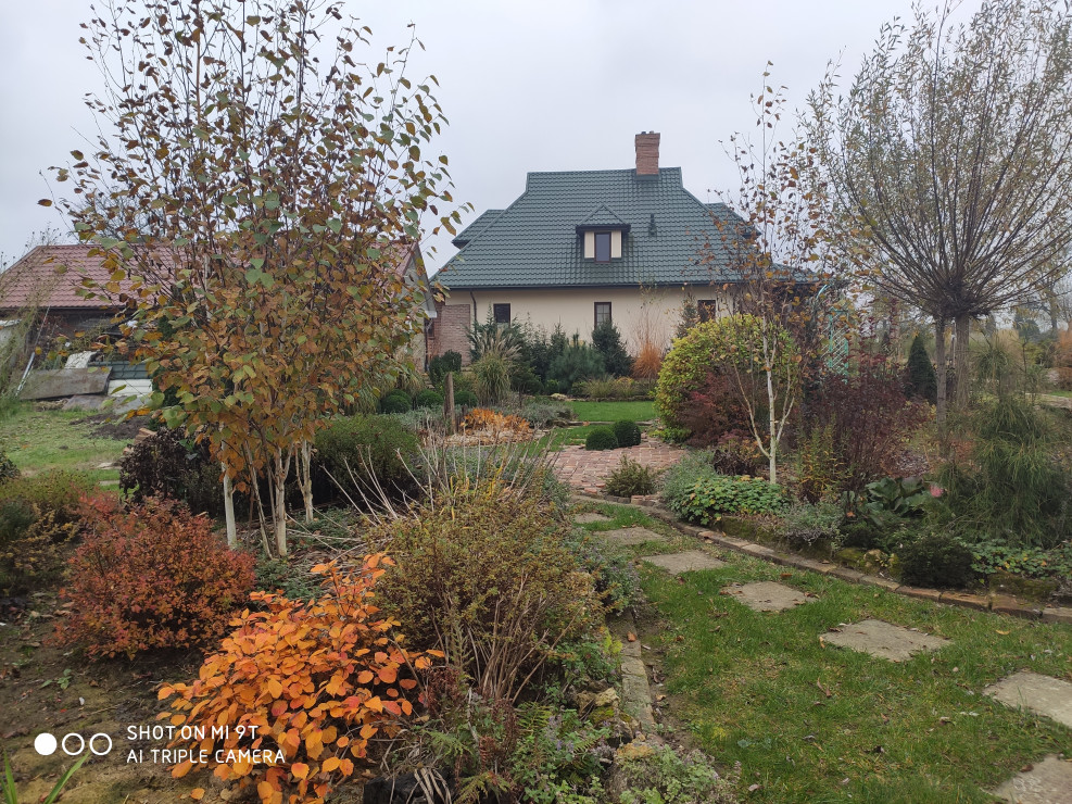 jesień - widok na dom z ogrodu
