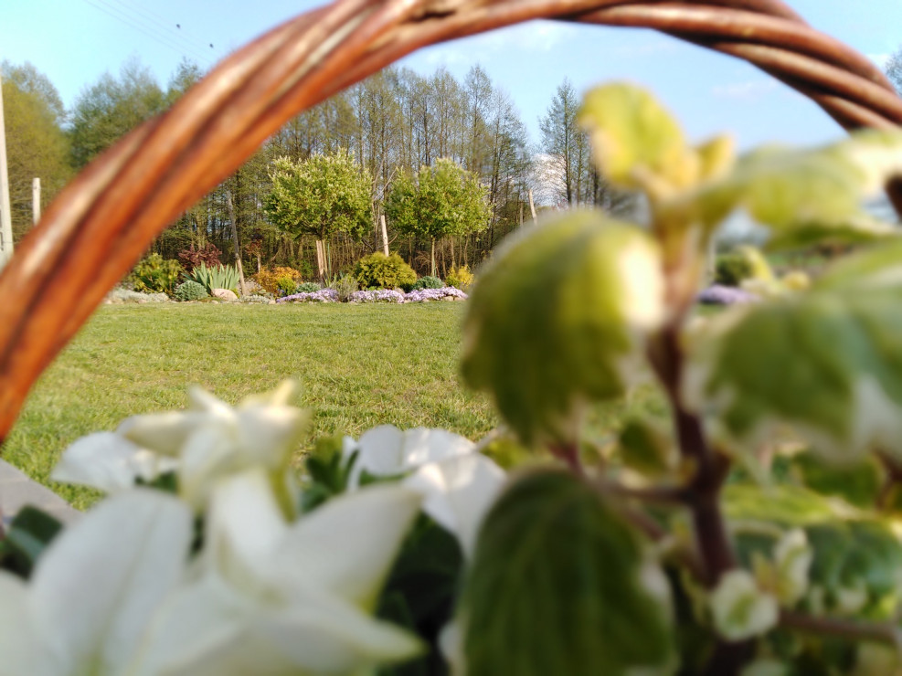 Widok na ogród